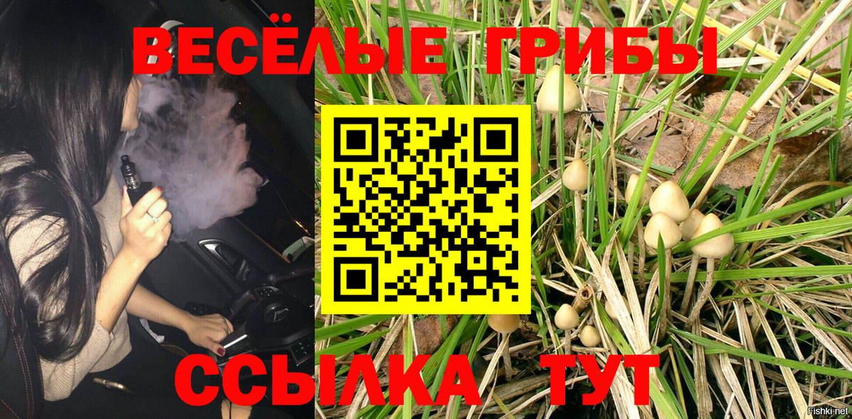 Галлюциногенные грибы мицелий Абакан